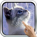 APK Interactive Kitten