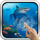 APK Interactive Shark