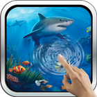 ikon Interactive Shark