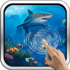 Interactive Shark biểu tượng