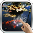 Koi Fish in the Pond APK