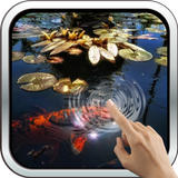 Koi Fish in the Pond-icoon