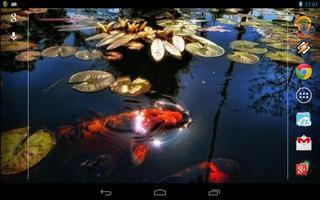 Koi Fish in the Pond Ekran Görüntüsü 3