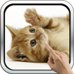 ”Playful Kitten Live Wallpaper