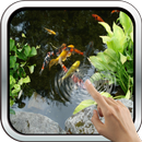 Magic Touch: Realistic Koi Liv APK