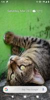 Sleeping Kitty 3D Wallpaper plakat