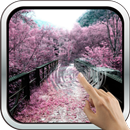 Amazing Sakura 3D Wallpaper APK