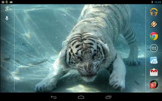 Underwater Tiger syot layar 3