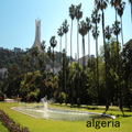 wallpaper algeria