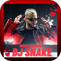 Musique Remix Dj Snake