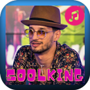 اغاني سولكينغ soolking APK