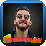 أجمل اغاني زهير البهاوي