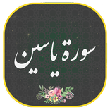 سوره یاسین مع الصوت بدون نت YASIN