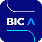 BIC Academy Quiz icon