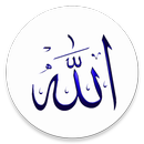 Asmaul Husna 99 Nama Allah APK