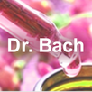 Bach Flowers APK