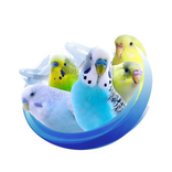 ”Alen AxP Budgie Community