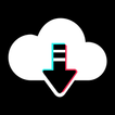 Video Downloader No Watermark