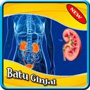 Obat Penghancur Batu Ginjal APK