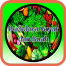 Budidaya Sayur dan Buah aplikacja