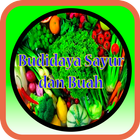 Budidaya Sayur dan Buah 圖標