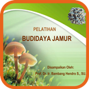 Pelatihan Budidaya Jamur APK