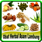 Obat Herbal Asam Lambung icône