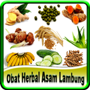 Obat Herbal Asam Lambung APK