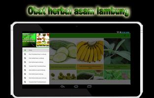 Obat Herbal Asam Lambung capture d'écran 3