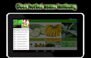 Obat Herbal Asam Lambung ภาพหน้าจอ 3