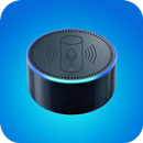 APK Alexa Commands  & Echo dot Set
