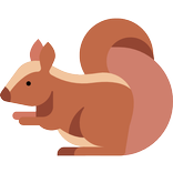 松鼠回国，海外解锁大陆音乐视频应用，追剧听音乐的回国加速器