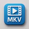 MKV轉MP4轉換器 APK