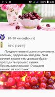 Рецепты Сушилка для фруктов скриншот 2