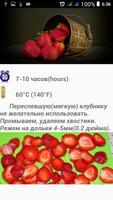 Рецепты Сушилка для фруктов скриншот 3