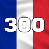Learn most used French words icon