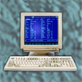 ”NetGame