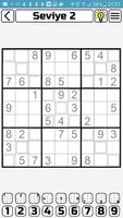 Sudoku X gönderen