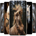 Horse Wallpapers