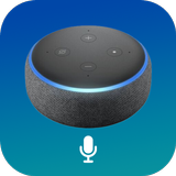 Echo Amazon Alexa Setup Zeichen