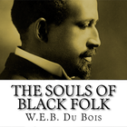Souls of Black Folk icône