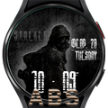 STALKER WatchFace