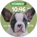 Cute Doggy Watch Face APK