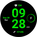 Fit Sample Watch Face APK