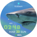Shark Fin Watch Face APK