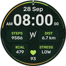 Topo Trail Watch Face APK