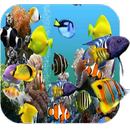 Aquarium Fonds d'écran APK