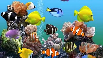 Aquarium Wallpaper poster