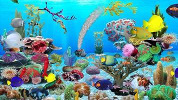 Aquarium Wallpapers ảnh chụp màn hình 1