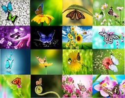 3D butterfly wallpaper poster